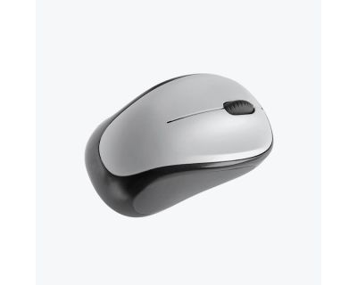 Computer Mouse1