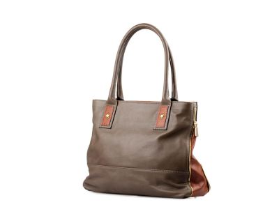 Brown Bag 1